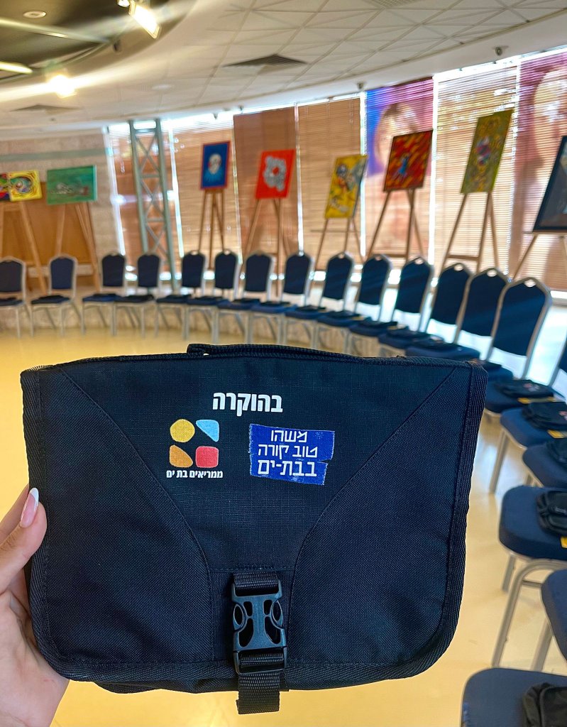 שנת שירות ומכינות