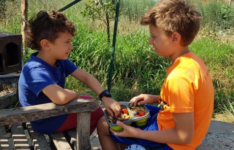 האם ילדי ישראל אוכלים ירקות?